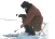 Нет непрочитанных сообщений